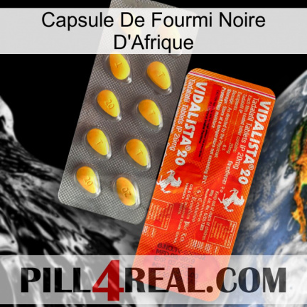Africa Black Ant Capsule new01
